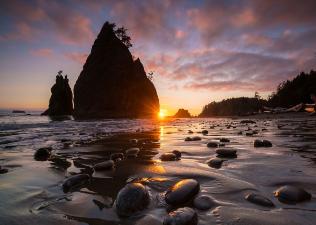 #9. Olympic: Hike up your shorts and go tidepooling